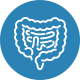 Healthy Gut
