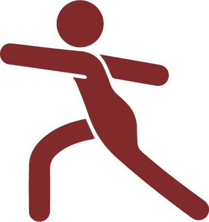 3+9 Auto Fitness Programs